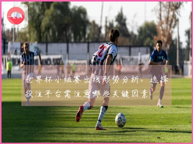 世界杯小组赛出线形势分析，选择投注平台需注意哪些关键因素