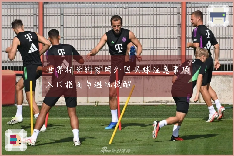 世界杯竞猜官网外围买球注意事项入门指南与避坑提醒
